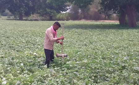 Gujarat to host state-level 'PM Kisan Utsav Diwas' tomorrow