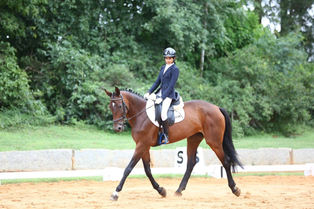 ARC's Stasya Pandya qualifies for Junior National Equestrian Championships