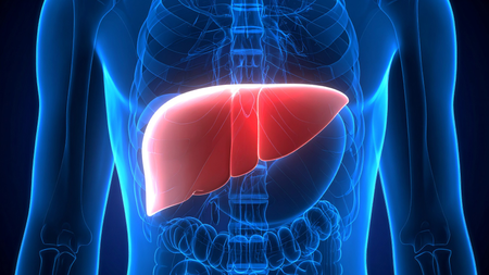 States asked to undertake regular screening to tackle rising fatty liver disease: Nadda