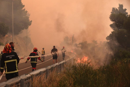Portugal declares wildfire alert amid severe heatwave Portugal declares wildfire alert amid severe heatwave