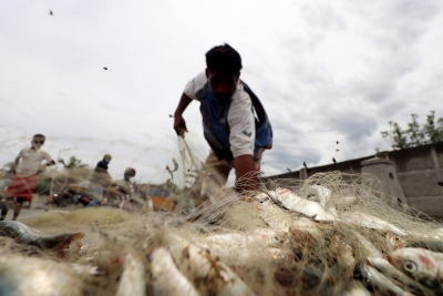 India's marine fish landings drop two per cent, Kerala’s by four in 2024: CMFRI