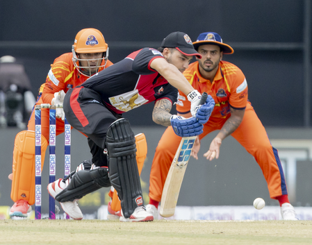 DPL 2025: West Delhi Lions pull off stunning chase to continue season of run-fest