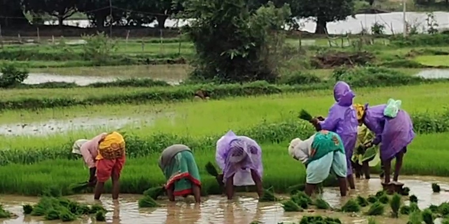 'सम्मान निधि' मिलने से गदगद किसान, बोले- ये अच्छी योजना, मिलती है बहुत मदद