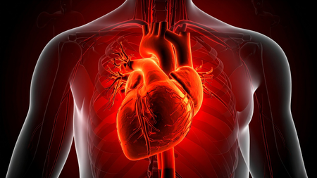 Inflammation linked to frailty, social deprivation and heart disease risk in women: Study