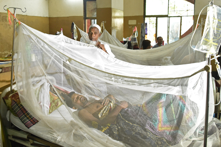 Bangladesh: Three more fatalities due to dengue raise death toll to 92
