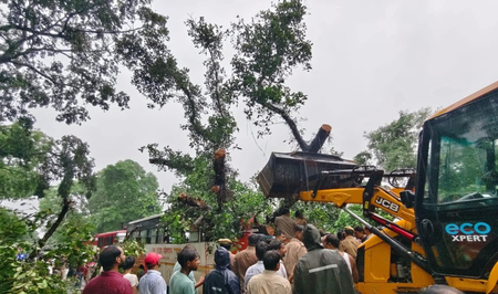 बाराबंकी में भारी बारिश के कारण रोडवेज बस पर गिरा पेड़, चालक समेत 4 की मौत