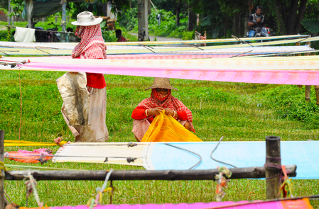 Over 14,000 women handloom weavers skilled under SAMARTH scheme in last three years