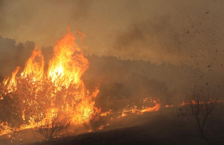 Thousands under evacuation orders as fast-moving wildfire rages in Southern California Thousands under evacuation orders as fast-moving wildfire rages in Southern California