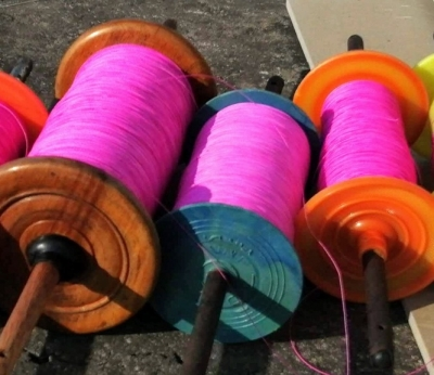 Madhya Pradesh: Chinese kite string injures four in Ratlam