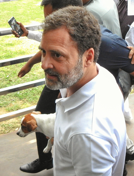 A step back from decades of humane, science-backed policy: LoP Rahul Gandhi on SC order to remove all stray dogs