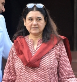 आवारा कुत्तों को हटाने के 'सुप्रीम' आदेश को मेनका और प्रियंका ने बताया 'अमानवीय'