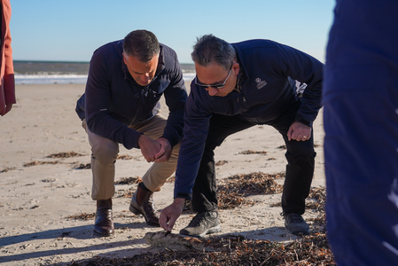 Australian govt to fast-track assessment of toxic algae outbreak on marine species Australian govt to fast-track assessment of toxic algae outbreak on marine species