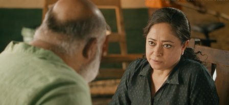 Sheeba Chaddha on her character Dharavi in Bindiya Ke Bahubali: 'She’s the one keeping a clear head'