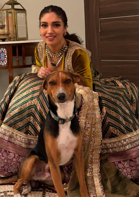 स्ट्रीट डॉग्स को हटाने के फैसले पर भड़के सेलेब्स, सोशल मीडिया पर जताई नाराजगी