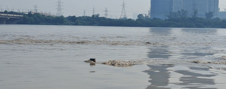Delhi's Yamuna Bazar flooded as river swells; residents struggle without food, shelter