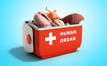 TN woman alleges organ removal, probe ordered