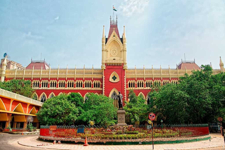 Bengal: Calcutta HC seeks reports on dog sterilisation programme from KMC and BMC