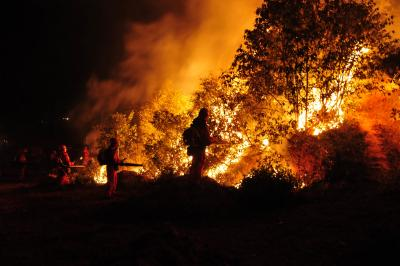 Wildfires in Spain signal growing climate risks for Europe, expert warns Wildfires in Spain signal growing climate risks for Europe, expert warns