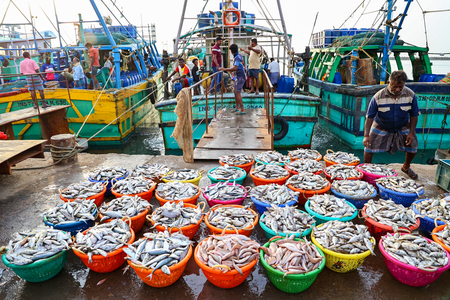 India's seafood exports touch .45 billion