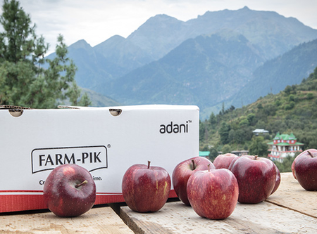 Adani Agri Fresh begins apple procurement at Rs 85 per kg in Himachal Pradesh Adani Agri Fresh begins apple procurement at Rs 85 per kg in Himachal Pradesh