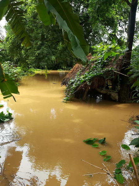 IMD issues heavy rainfall warning for Odisha amid flood crisis