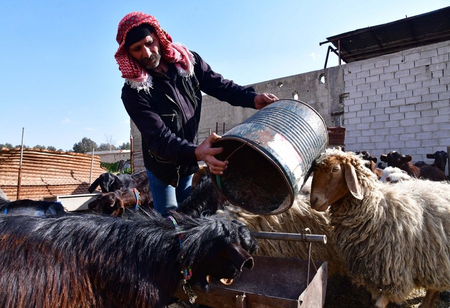 Syria hit by worst drought in decades, UN warns of deepening hunger crisis