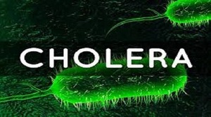 Cholera death toll rises to 75 in Chad Cholera death toll rises to 75 in Chad