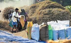 TN govt fixes MSP for paddy at Rs 2,545, procurement to begin from September 1
