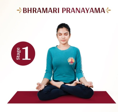 मानसिक शांति और स्वास्थ्य का सरल उपाय है भ्रामरी प्राणायाम, आयुष मंत्रालय ने बताए इसके लाभ मानसिक शांति और स्वास्थ्य का सरल उपाय है भ्रामरी प्राणायाम, आयुष मंत्रालय ने बताए इसके लाभ
