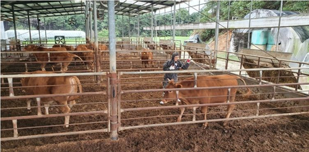South African minister expresses concern over spreading foot-and-mouth disease