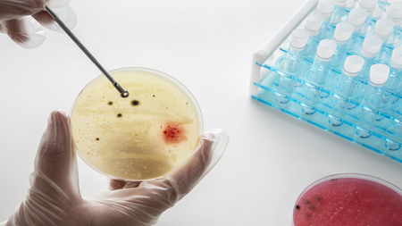 Airborne pathogens behind lung, gut infections 2x more in high-populated regions: Study