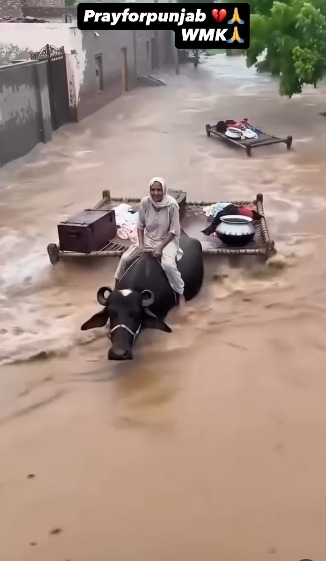 बाढ़ पीड़ितों के लिए आगे आईं सरगुन मेहता, लोगों से मदद की गुहार