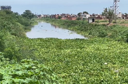 पंजाब पटियाला में घग्गर नदी का जलस्तर बढ़ने से अलर्ट, बाढ़ के खतरे से दहशत पंजाब पटियाला में घग्गर नदी का जलस्तर बढ़ने से अलर्ट, बाढ़ के खतरे से दहशत
