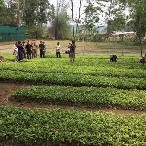 Nagaland has potential for coffee plantation in over 10 lakh hectares: CM Rio