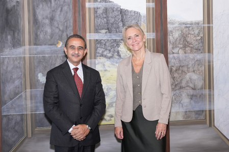India and Iceland review progress in areas of mutual interest India and Iceland review progress in areas of mutual interest