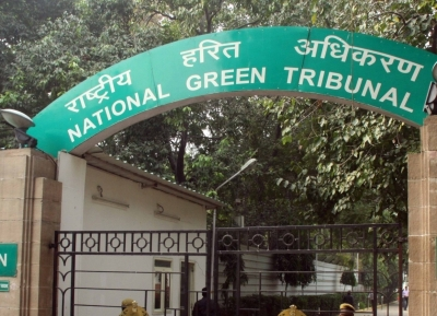 NGT takes suo motu cognizance of report linking well water to brain-eating amoeba cases