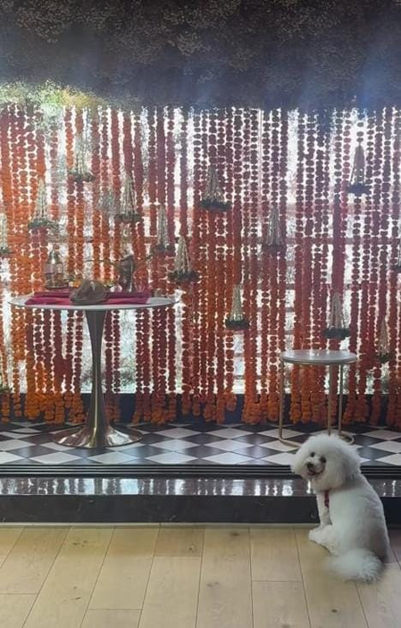 Kartik Aaryan captures Katori sulking over Bappa’s farewell Kartik Aaryan captures Katori sulking over Bappa’s farewell