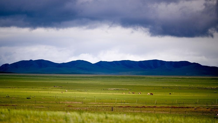 Two more bubonic plague cases reported in Mongolia's Khuvsgul