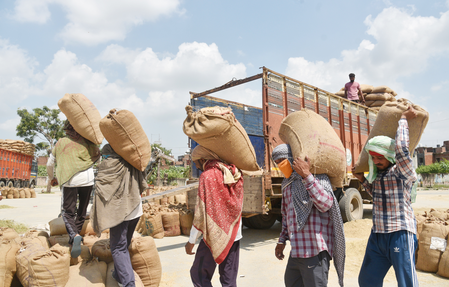 पूर्वी उत्तर प्रदेश में पहली नवंबर से होगी धान की खरीद पूर्वी उत्तर प्रदेश में पहली नवंबर से होगी धान की खरीद