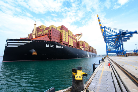 CBIC eases procedures for provisional assessments of imports and exports