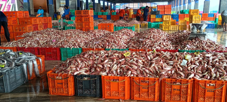 FAO, Bay of Bengal nations to prepare action plans for small scale fisheries
