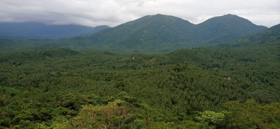 IIT Kharagpur study shows a steady decline in the country's forest health
