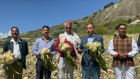 हिमाचल प्रदेश : आपदा प्रभ‍ा‍वित लाहौल घाटी का जयराम ठाकुर ने किया दौरा, प्रशासनिक व्‍यवस्‍था पर सवाल उठाए
