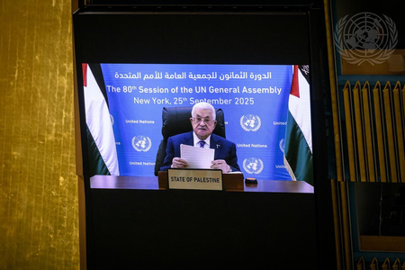 Palestine President denounces Hamas, offers to work with Trump on peace plan