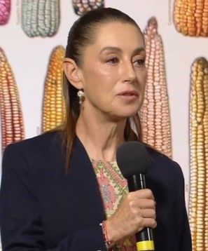 Mexico urges US 'consideration' over new vehicle tariffs
