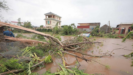 Typhoon Bualoi leaves 51 dead in Vietnam