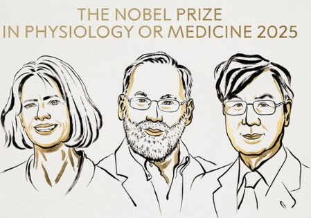 US, Japanese scientists awarded 2025 Nobel Prize for Medicine for discovery on immune system