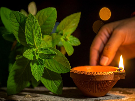 धर्म और सेहत दोनों से है कार्तिक मास का कनेक्शन, आयुर्वेद में लिखी है इसकी महिमा