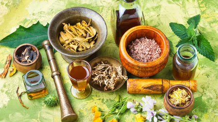 AIIA fostering tie-ups to enhance insurance integration, research in Ayush sector
