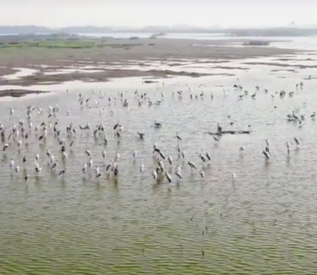 TN mulls proposing Samanatham tank as Ramsar site for wetland conservation
